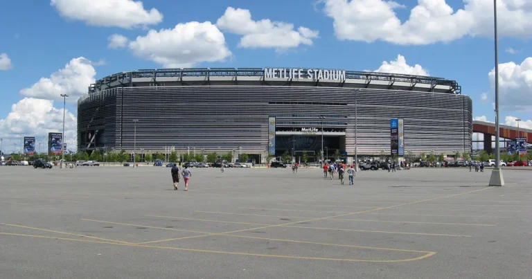 World Cup 2026 Pitch Problems: Why MetLife’s Grass Is Slowing the Game Down
