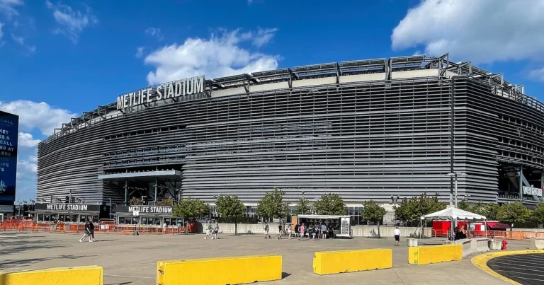 New Jersey Paid for the World Cup Pitch. FIFA Is Selling It for $11 Million and Keeping Every Cent.